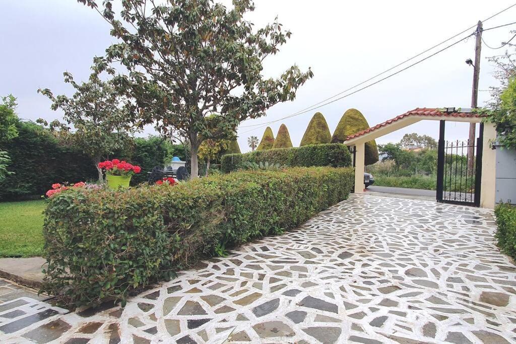Vacation Studio Oropos Nea Palatia Exterior foto
